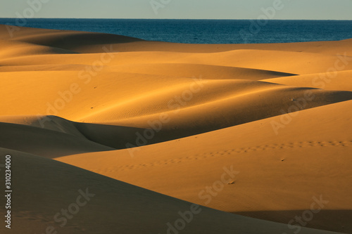 Maspalomas dunes in Gran Canaria in sunrise light.
