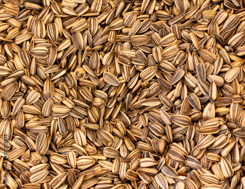 Numerous sunflower seeds. Natural plant-based food for vegans and vegetarians.