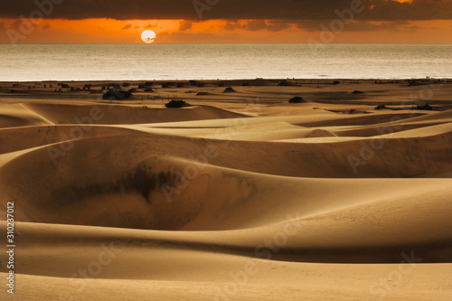 Maspalomas dunes in Gran Canaria in sunrise light. photo