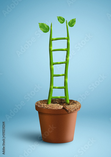 successful growth creative concept, plant as ladder photo