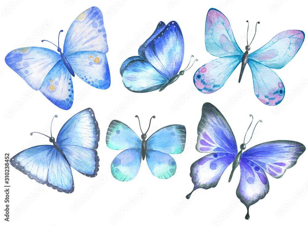 Set with blue watercolor butterflies. Set with blue watercolor butterflies.