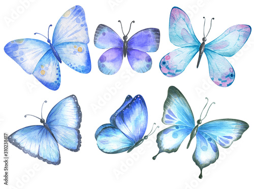 Set with blue watercolor butterflies. © Vilena