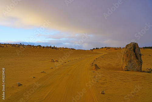 View of limestone rock formations in the Pinnacles Desert in Nambung National Park  Cervantes  Western Australia