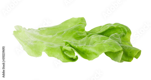 Fresh lettuce leaf isolated on white background with clipping path