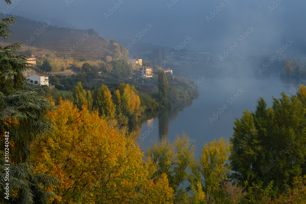 Autumn trees along Douro River, Lamego Municipality, Viseu District, Douro Valley, Northern Portugal, Portugal