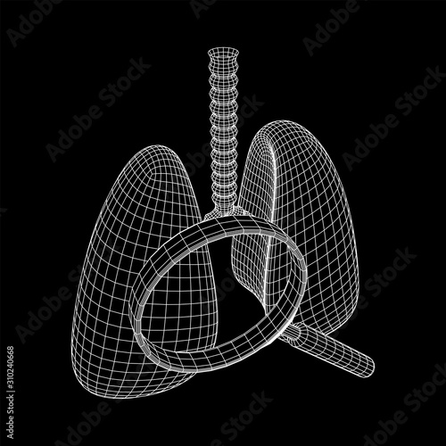 Lungs with trachea bronchi internal organ human with magnifying glass. Pulmonology medicine science analysis concept. Wireframe low poly mesh vector illustration