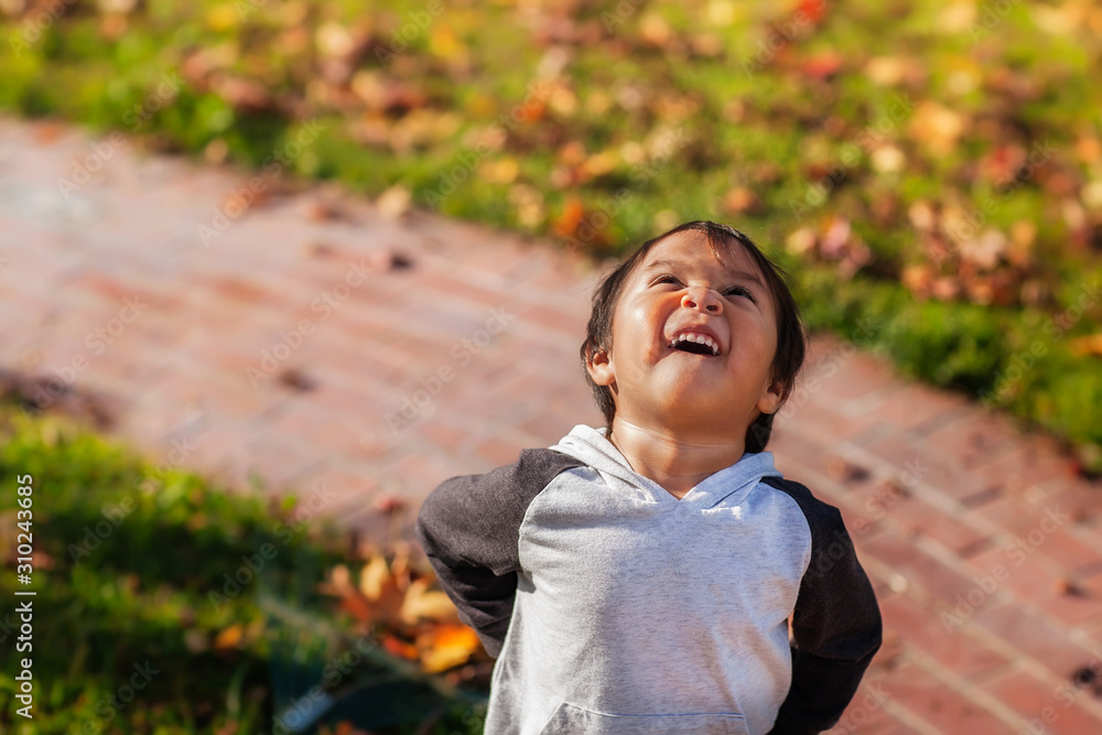 A little boy laughing and portraying happiness as he looks up to the sky, while standing in the front yard during autumn season. A little boy laughing and portraying happiness as he looks up to the sky, while standing in the front yard during autumn season.
