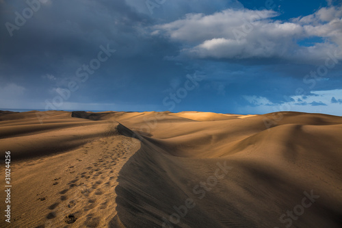 Maspalomas dunes in sunrise light in Gran Canaria in Canary Islands.