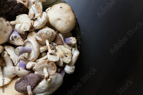 Raw champignons and tricholoma standing on black wooden table. Healthy organic vegetarian food. Diet, nutrition, eating habits concept. Copy space