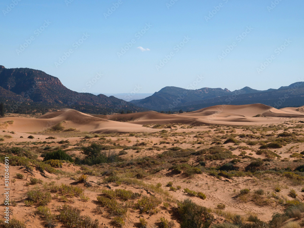 Coral Pink Sand Dunes State Park, Utah Coral Pink Sand Dunes State Park, Utah