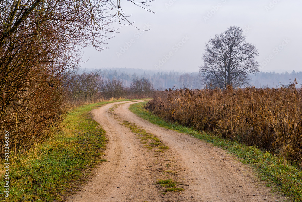 Rzeka Supraśl, Puszcza Knyszyńska, Grudniowy ciepły dzień, Ocieplenie klimatu