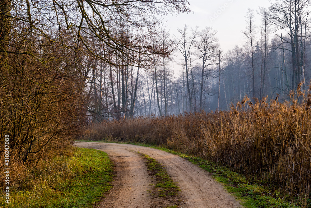 Rzeka Supraśl, Puszcza Knyszyńska, Grudniowy ciepły dzień, Ocieplenie klimatu Rzeka Supraśl, Puszcza Knyszyńska, Grudniowy ciepły dzień, Ocieplenie klimatu