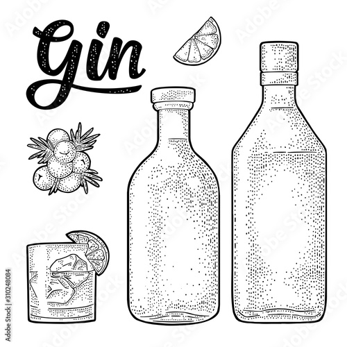 Glass and bottle of gin and branch Juniper. Vintage engraving