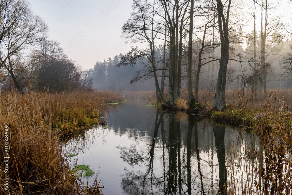 Rzeka Supraśl, Puszcza Knyszyńska, Grudniowy ciepły dzień, Ocieplenie klimatu Rzeka Supraśl, Puszcza Knyszyńska, Grudniowy ciepły dzień, Ocieplenie klimatu