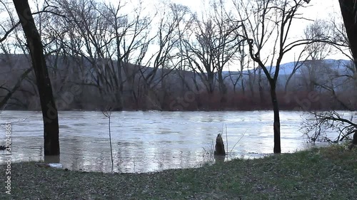 The river after the downpours came out of the banks. Flooding of river bank, trees after flood photo