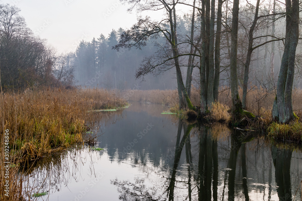 Rzeka Supraśl, Puszcza Knyszyńska, Grudniowy ciepły dzień, Ocieplenie klimatu