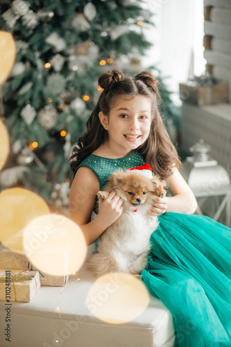 Happy little girl with dog in Christmas decorations