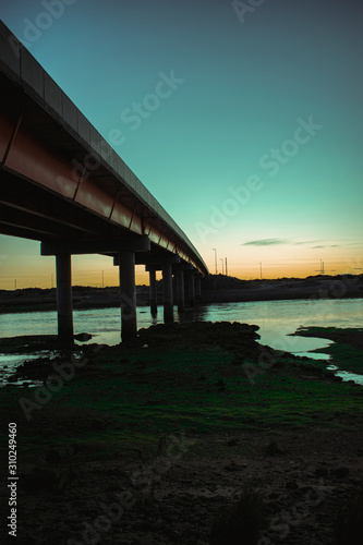 Wallpaper Mural puente pantanoso  Torontodigital.ca