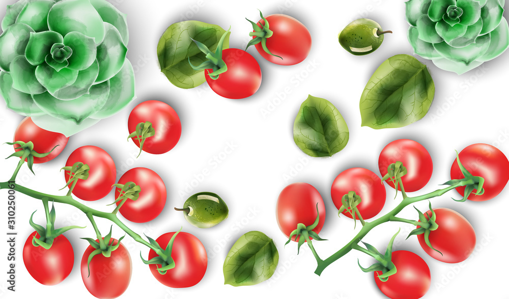 Watercolor set of red tomatoes, spinach leaves and echeveria plant. Healthy food vector set