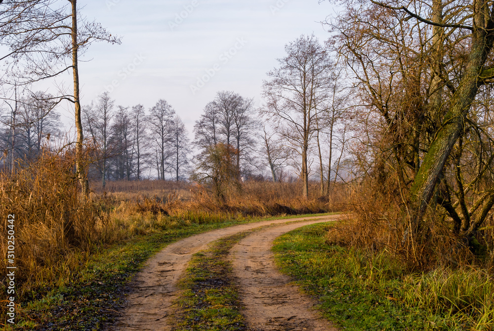 Fototapeta premium Rzeka Supraśl, Puszcza Knyszyńska, Grudniowy ciepły dzień, Ocieplenie klimatu