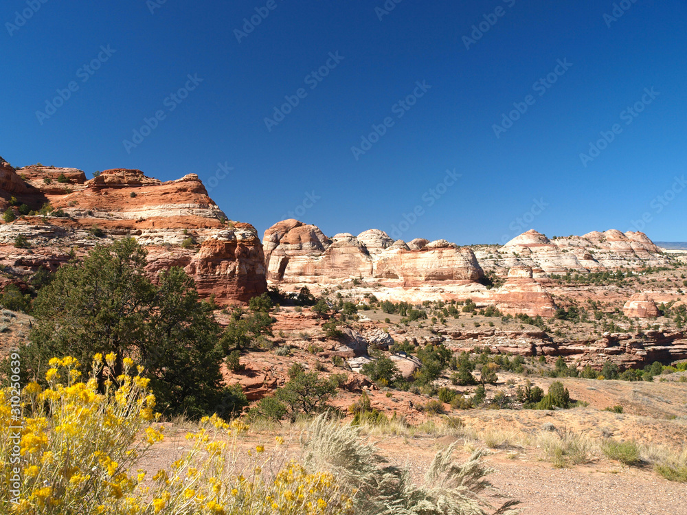 Fototapeta premium Grand Staircase Escalante National Monument in Utah
