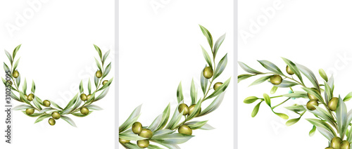 Big set of green olive wreath in random angles. Vector