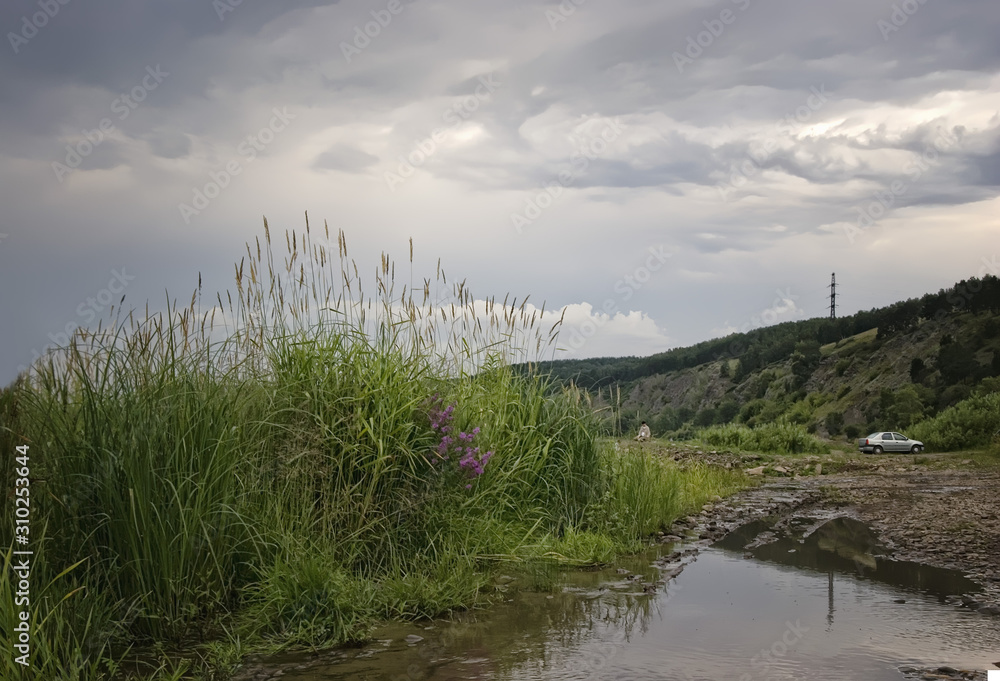 summer landscape by the river in rainy weather. car on the shore, tall grass and flowers by the water. high Bank on the mountain