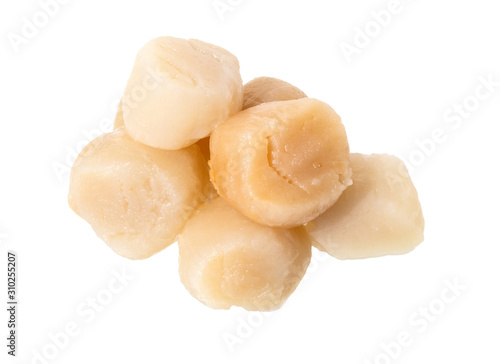Wallpaper Mural Raw Scallops isolated on white.