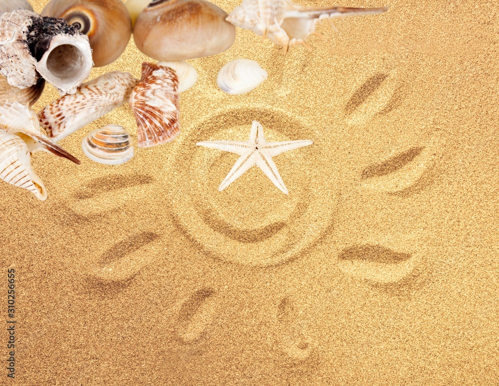 Sea shells and star on beach sand background