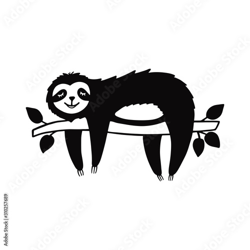 Cartoon sloth bear hanging on a branch. Hand drawn cute doodle vector illustration.