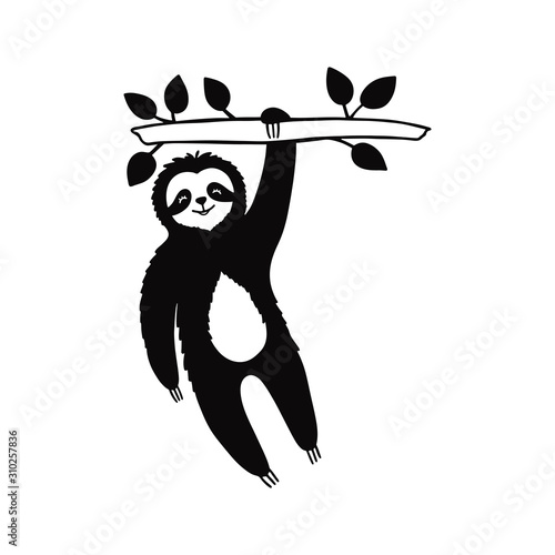 Doodle sloth bear for print design, poster, t-shirt. Cute cartoon character.