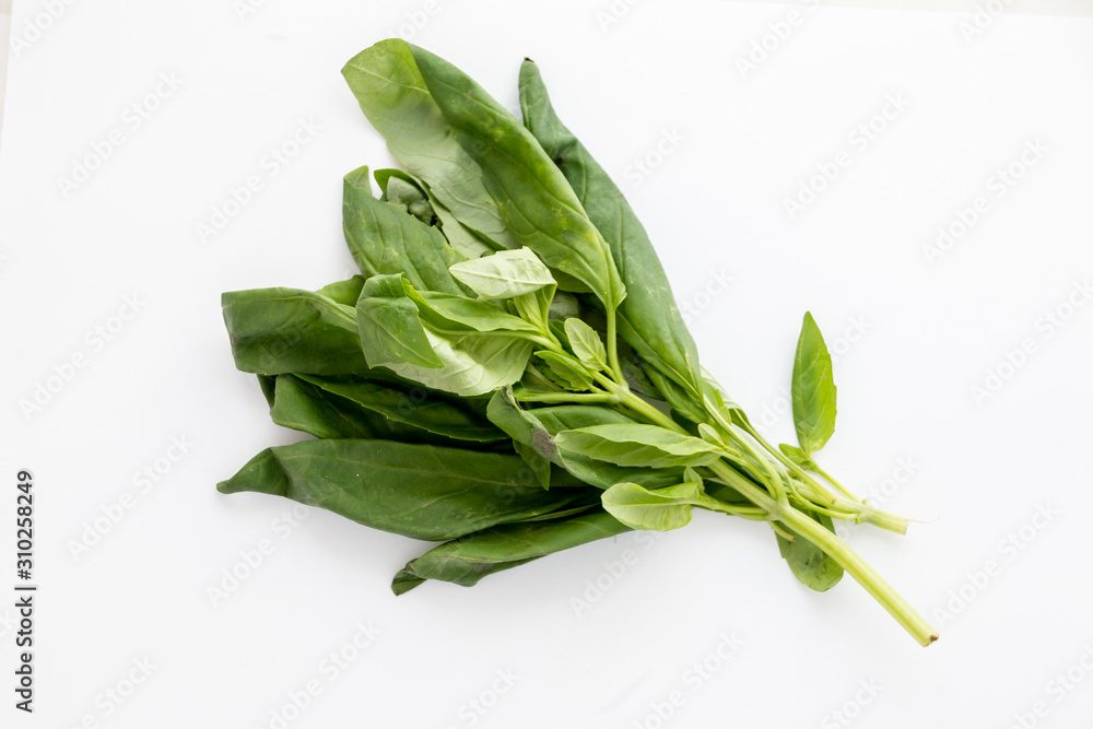A handful of natural and green basil for cooking