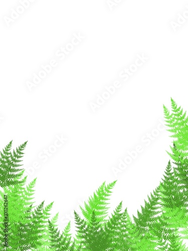 St. Patrick s Day  fern branches. Abstract background with copy space for your text  pattern handmade  white background . Stylish greeting card  label  packaging  wrapping paper  scrapbooking paper.