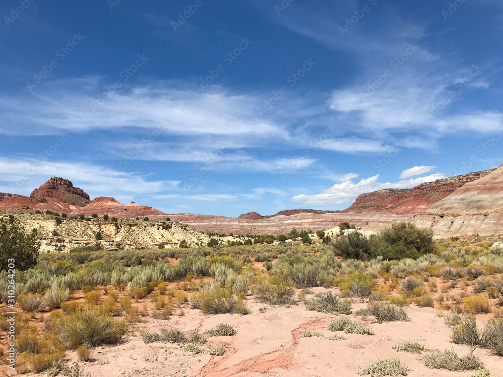 Fototapeta premium Paria Canyon in Utah