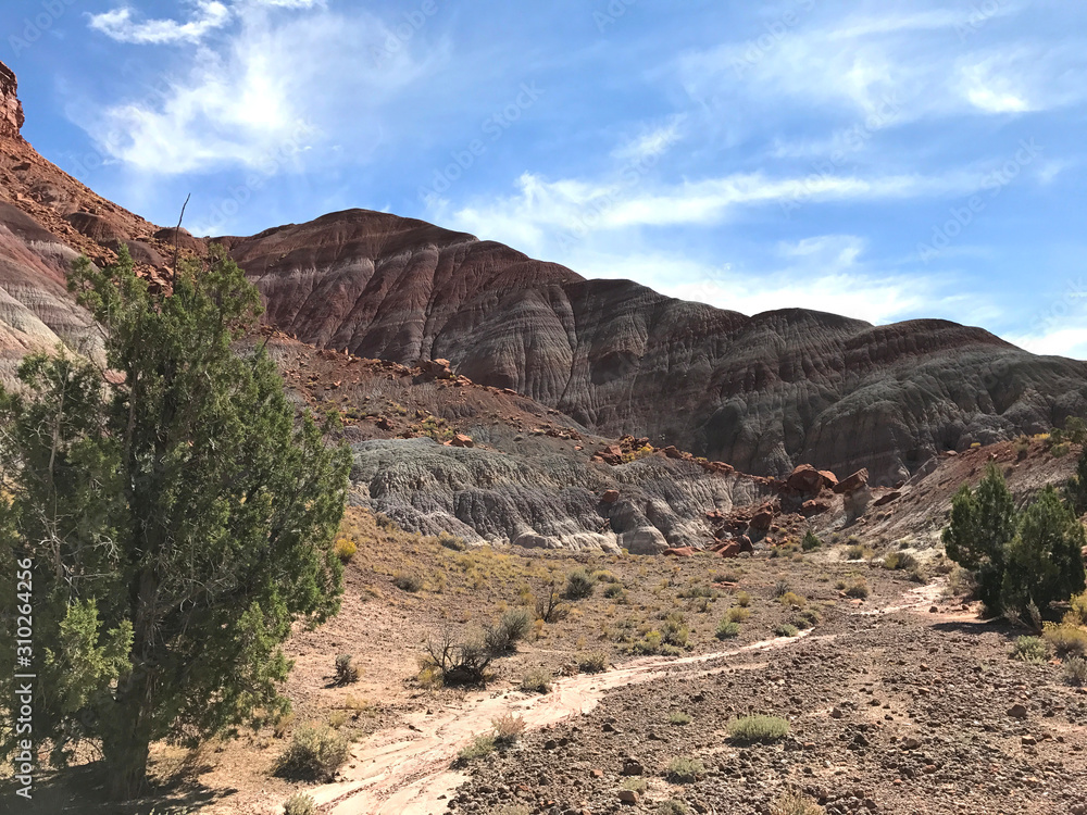 Fototapeta premium Paria Canyon in Utah
