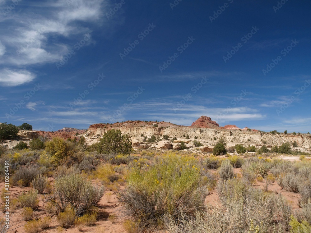 Paria Canyon in Utah Paria Canyon in Utah