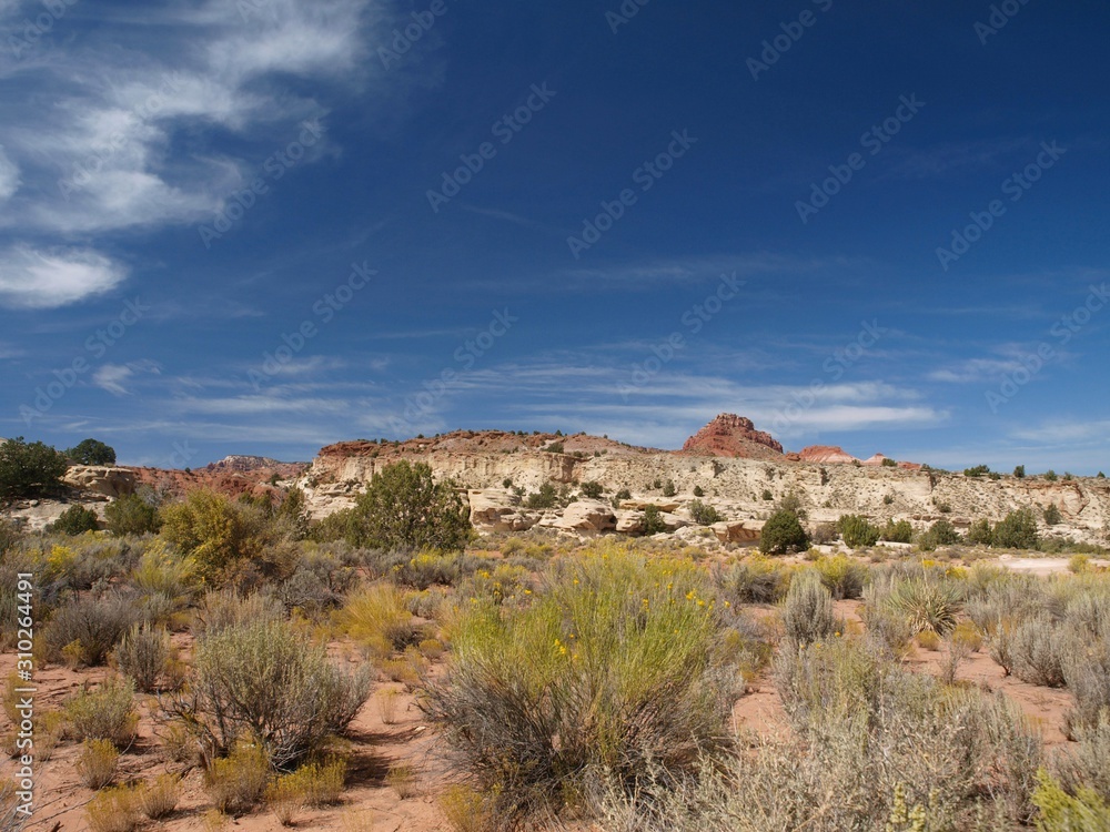 Paria Canyon in Utah