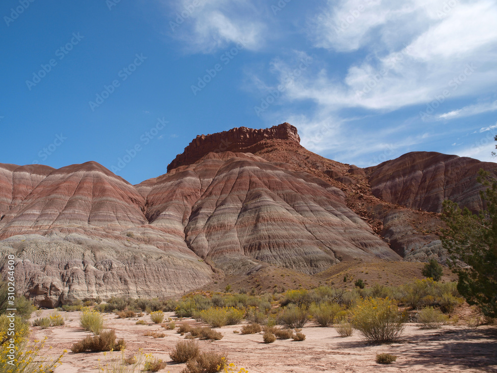Fototapeta premium Paria Canyon in Utah
