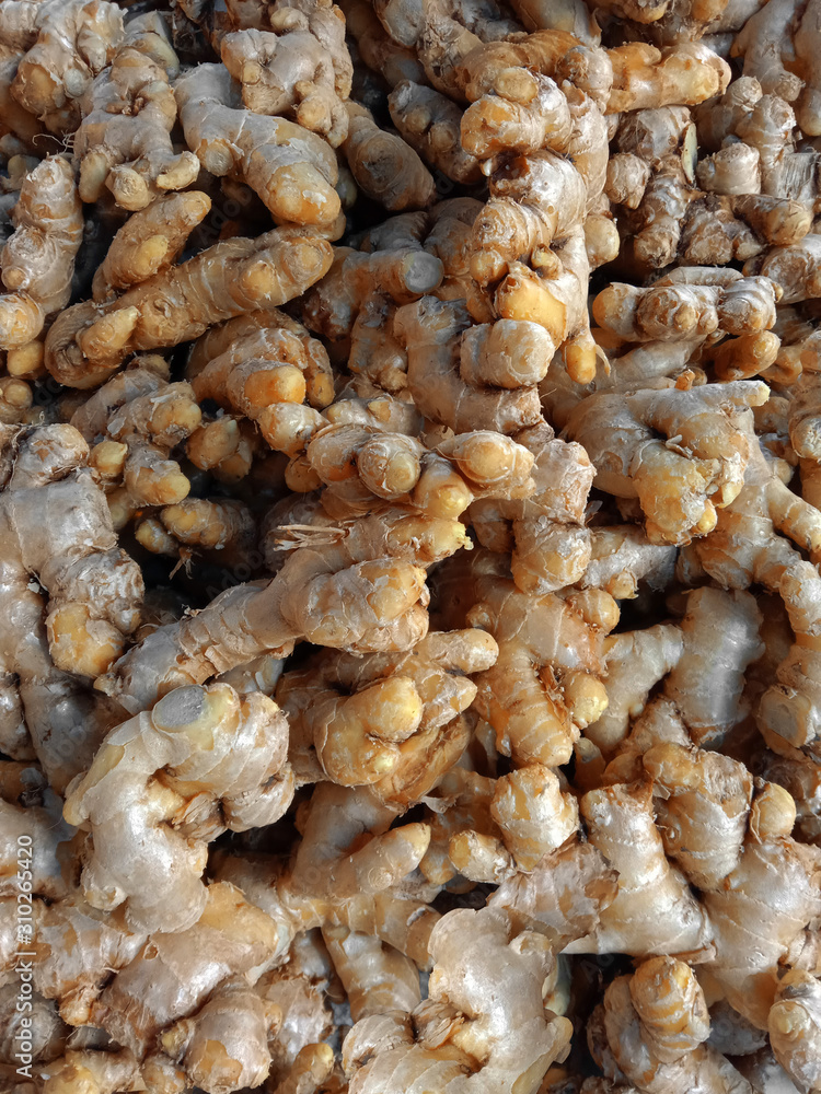 fresh flavourful aromatic ripe raw spice ginger fresh flavourful aromatic ripe raw spice ginger