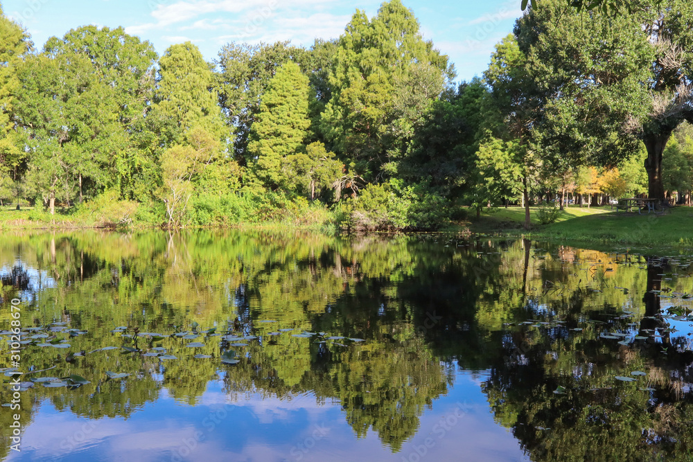 Blue sky, vivid green trees reflecting into a peaceful, serene lake.