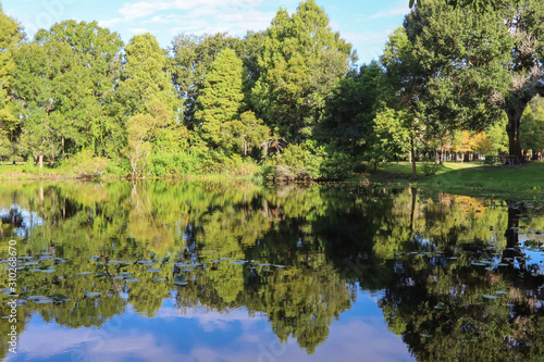 Blue sky, vivid green trees reflecting into a peaceful, serene lake.