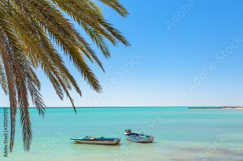 palm tree and boats on the beach