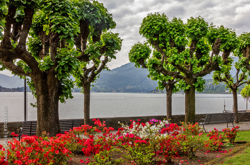 Como lake landscape mountain view with palms, Italy, Menaggio, Lombardy.