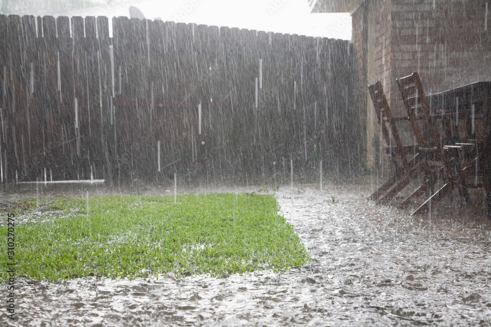 Heavy Rains In Backyard - obrazy, fototapety, plakaty 