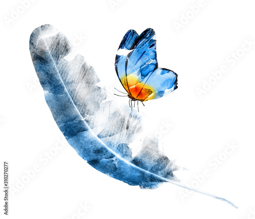 Photography Watercolor feather with butterfly