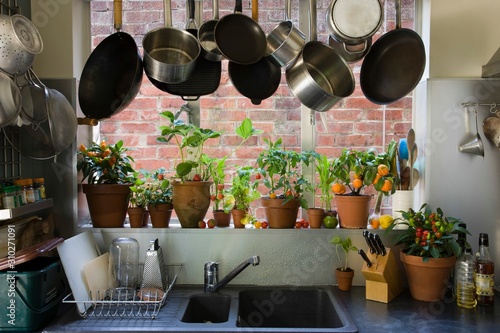 View Of Domestic Kitchen