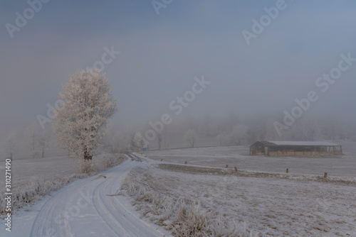 Barn in Krusne mountains in snowy white landscape with frosty trees