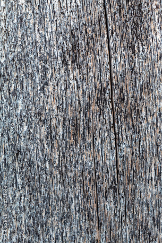 Old Weathered Grayish Cracked Wood Texture Old Weathered Grayish Cracked Wood Texture