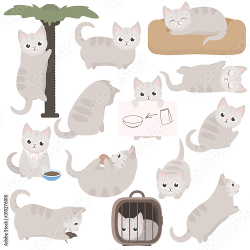 Fototapeta Naklejka Na Ścianę i Meble -  Cute cartoon cat character in different poses. Vector illustrations set isolated on white background.