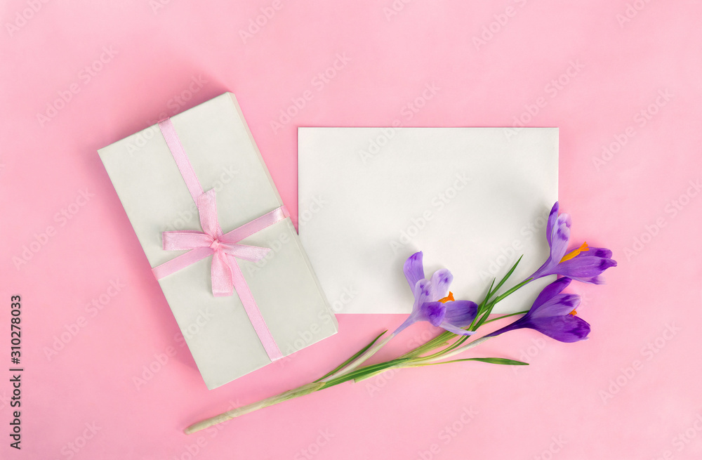 Holiday composition, white gift box with pink ribbon and blank sheet with space for text and flowers violet crocuses on pink paper background. Top view, flat lay - obrazy, fototapety, plakaty 